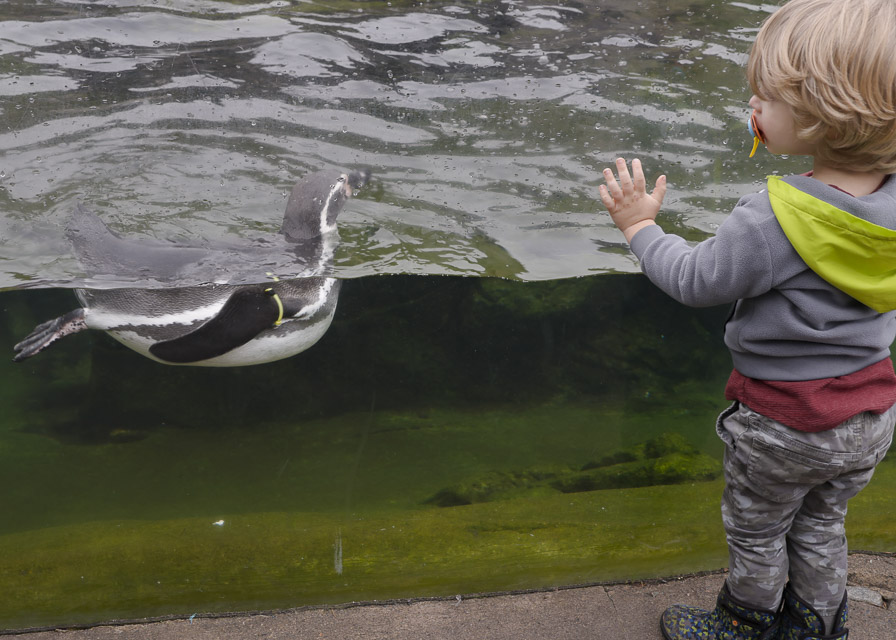 Woodland Park Zoo — photo 1